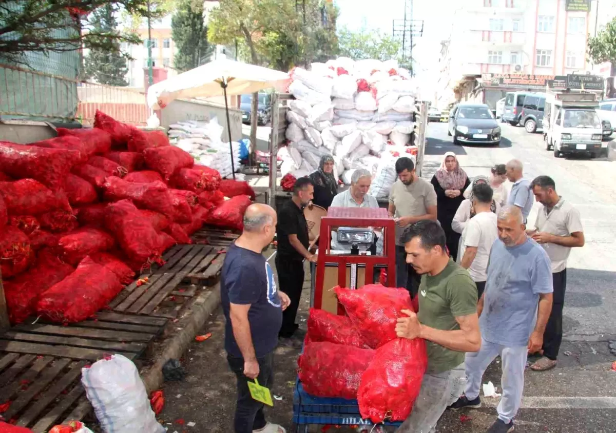 Gaziantep\'te Biber Salçası Sezonu Başladı