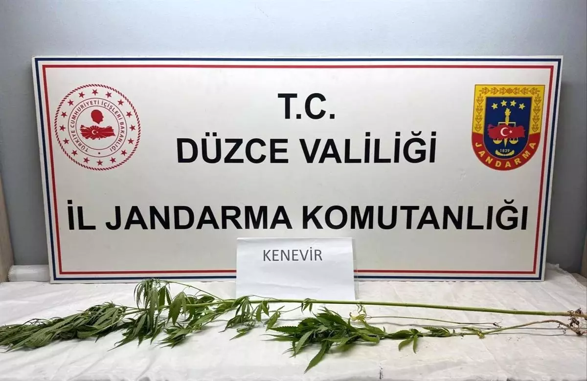 Düzce\'de Uyuşturucu Operasyonu