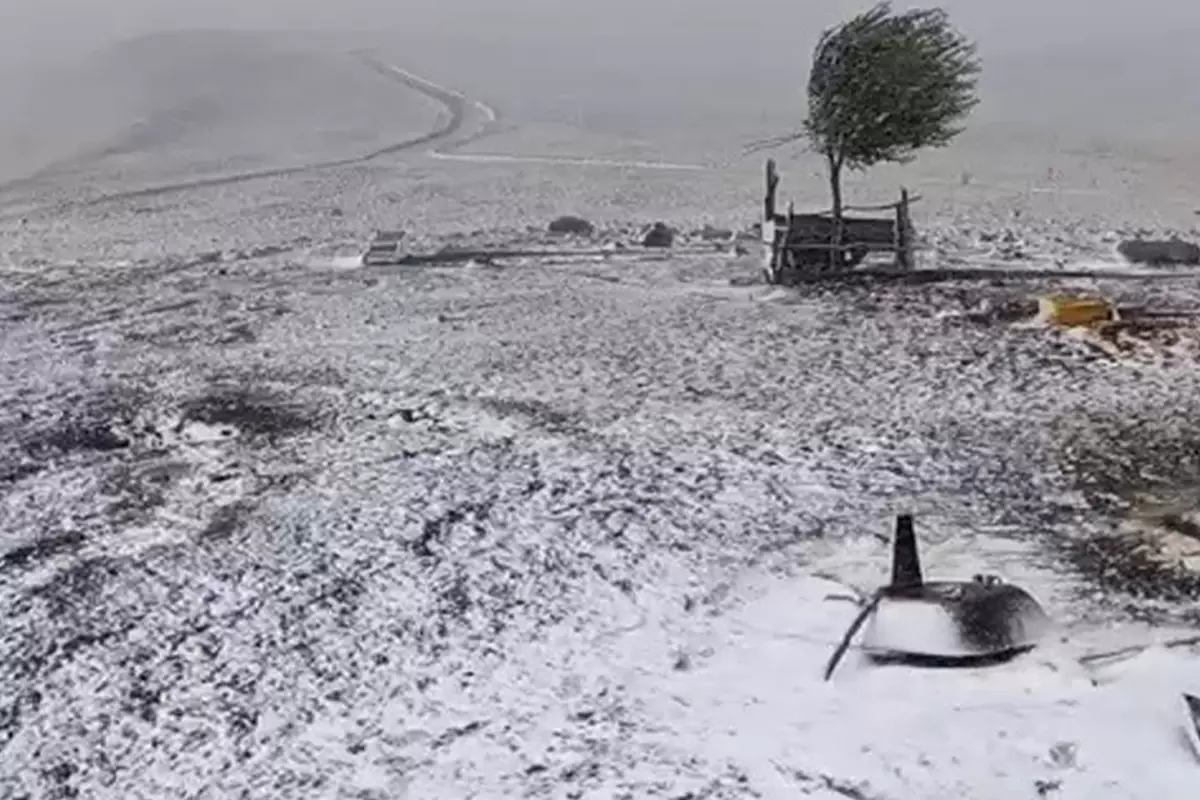 Mevsimin ilk karı o ilimize düştü, her yer beyaza büründü