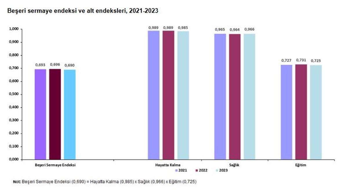 Beşeri Sermaye Endeksi 2023\'te 0,690