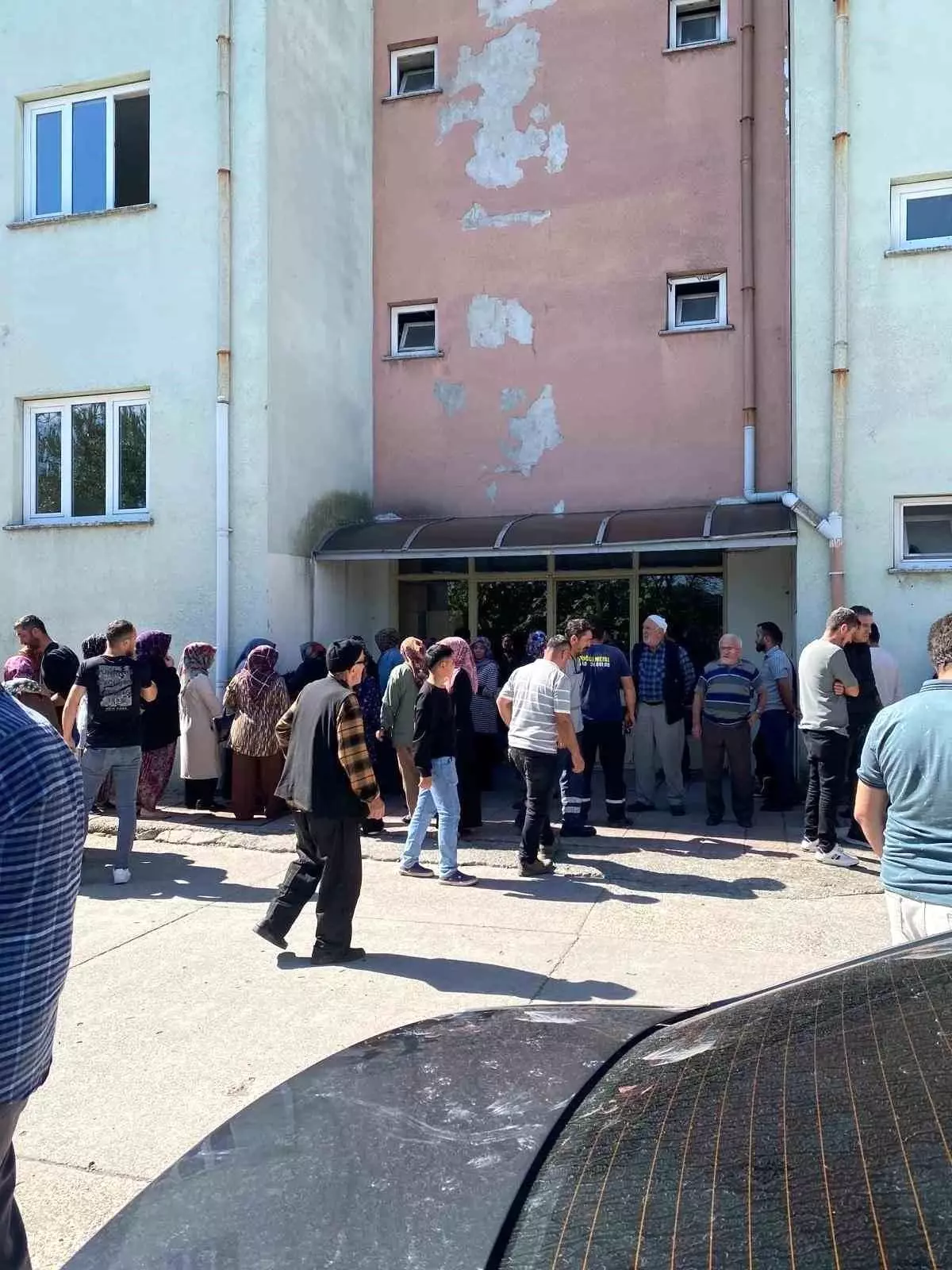 Ceviz Toplarken Elektrik Akımına Kapıldı