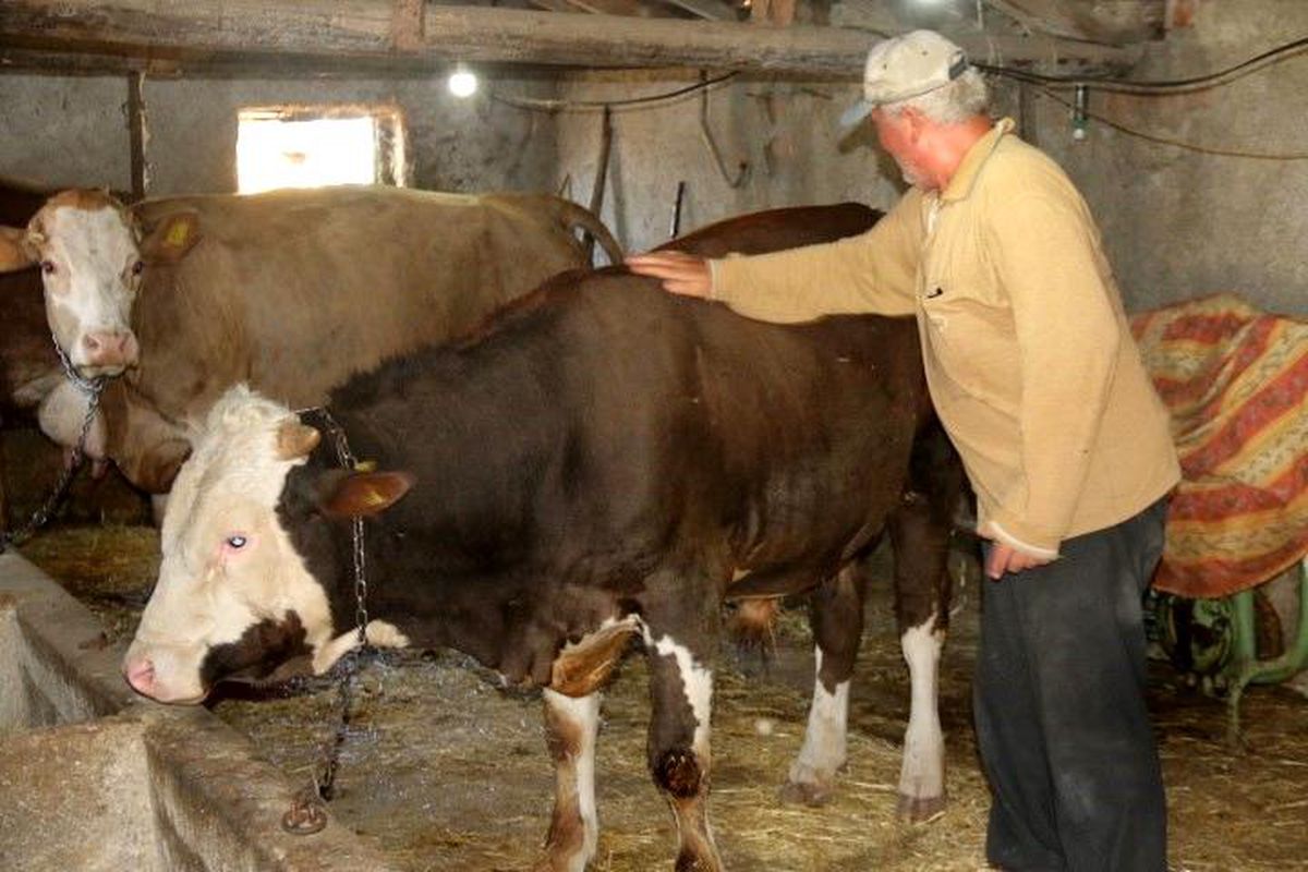 Emekli Mühendisin Huzur Arayışı