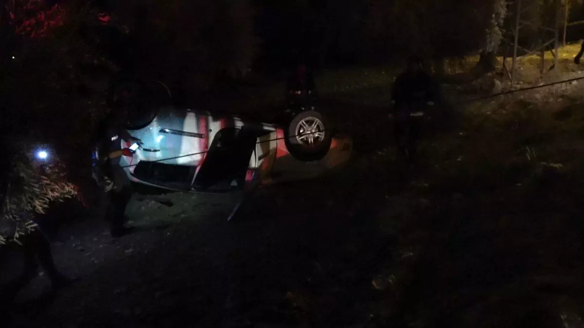Kilis\'te Zeytin Tarlasına Düşen Araçta Sürücü Yaralandı