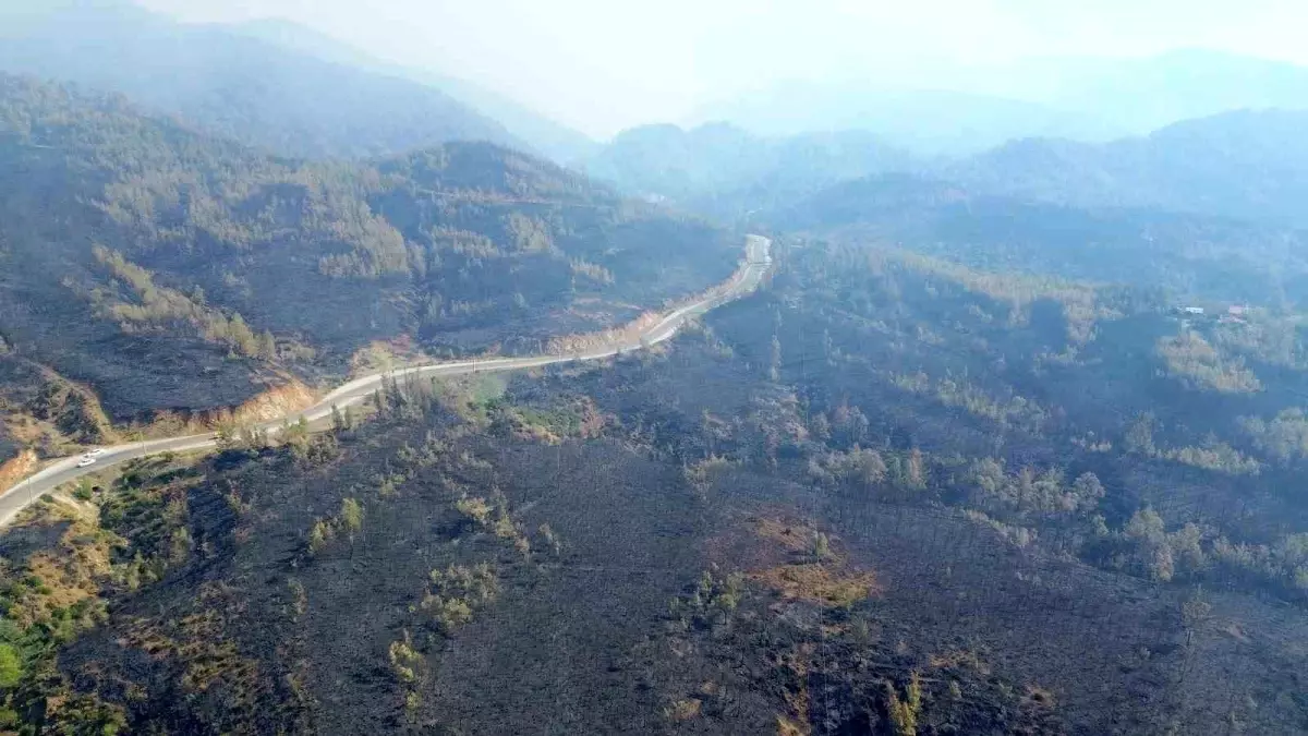 Köyceğiz Orman Yangını: Felaketin Görüntüleri