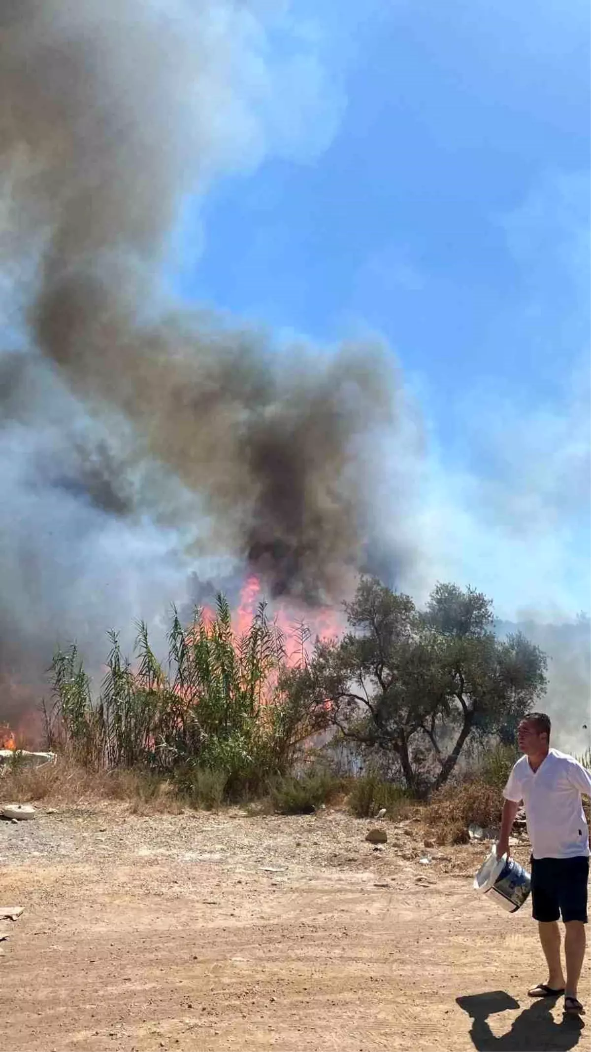 Bodrum\'da Sazlık Yangını Kontrol Altında