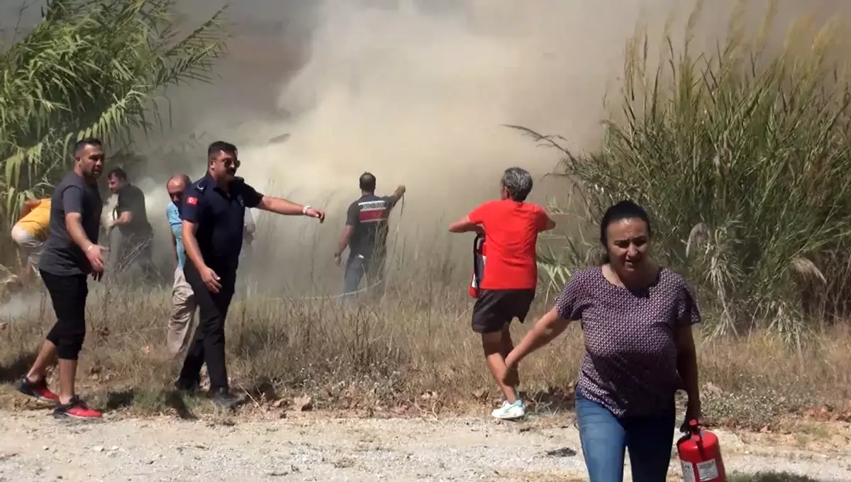Manavgat\'ta Sazlık Yangını