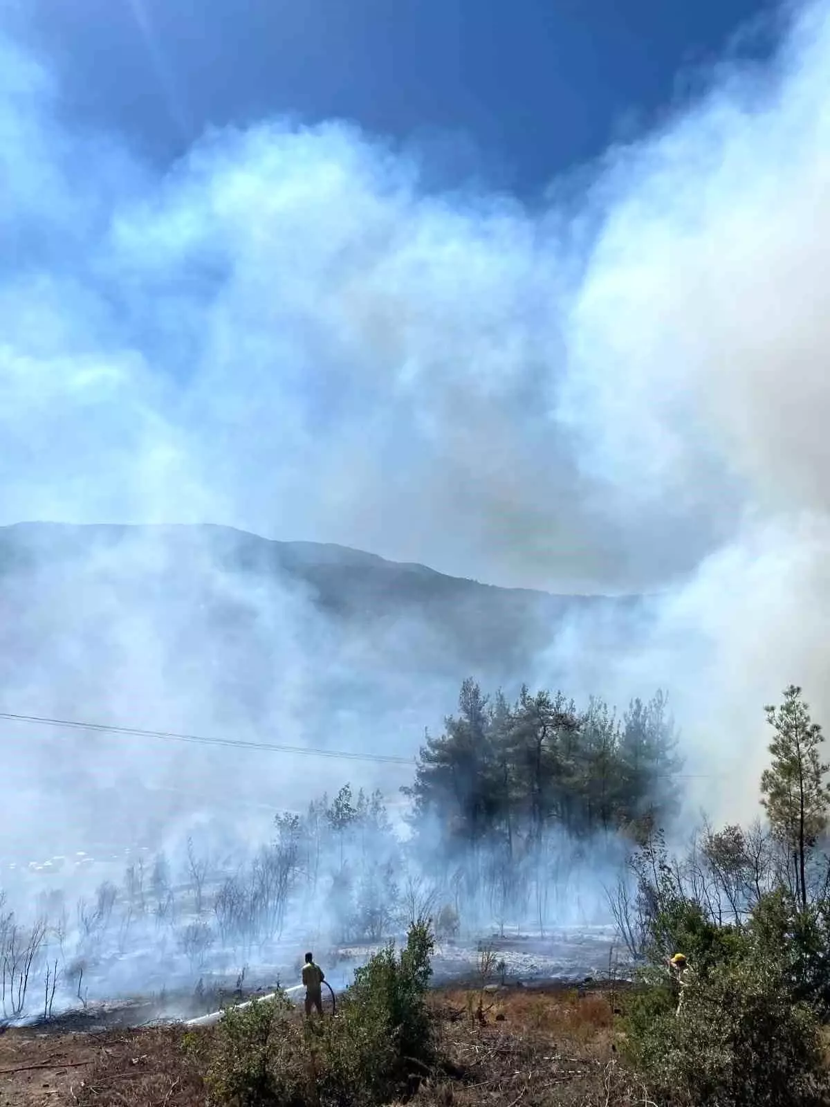 Balıkesir\'de Orman Yangınına Müdahele Sürüyor
