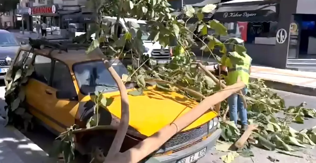Aydın\'da Kırılan Ağaç Dalı Park Halindeki Aracın Üzerine Düştü