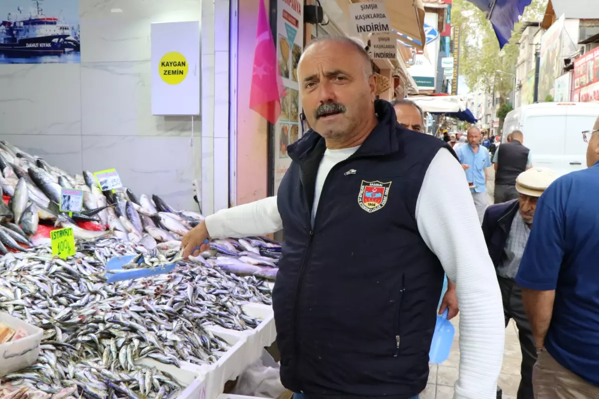 Karadeniz\'de Balık Çeşitliliği Arttı