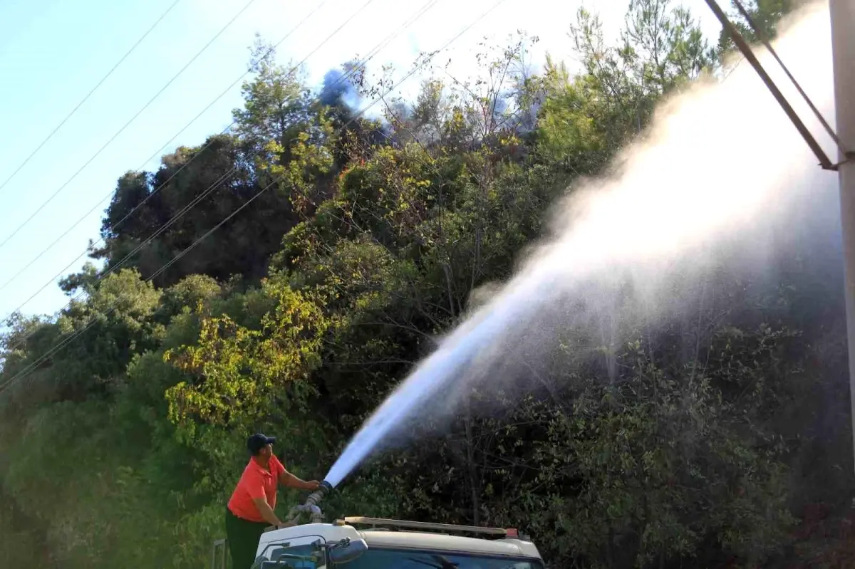 Antalya\'da Yangın Tekrar Çıktı: Hızlı Müdahale ile Söndürüldü