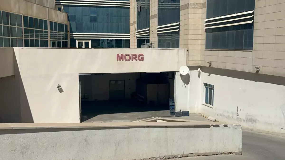 Ceviz Toplarken Ağaçtan Düşüp Hayatını Kaybetti