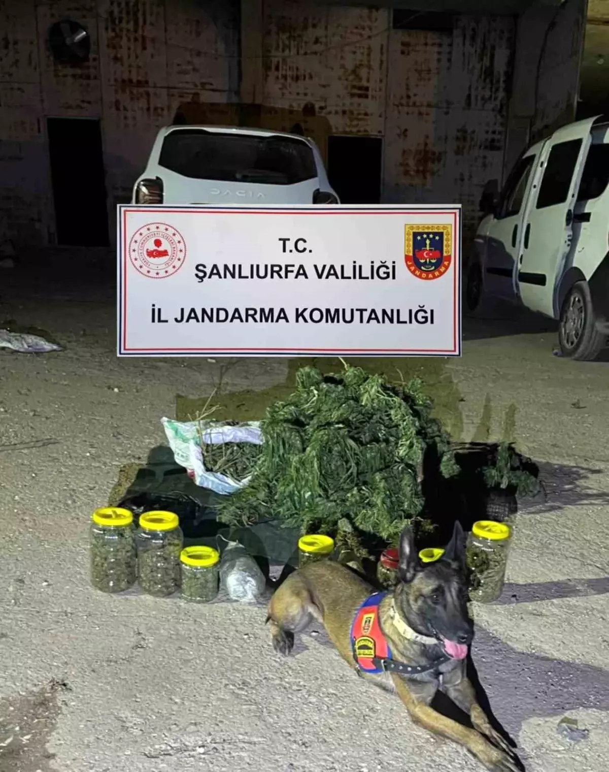 Viranşehir\'de Uyuşturucu Operasyonu