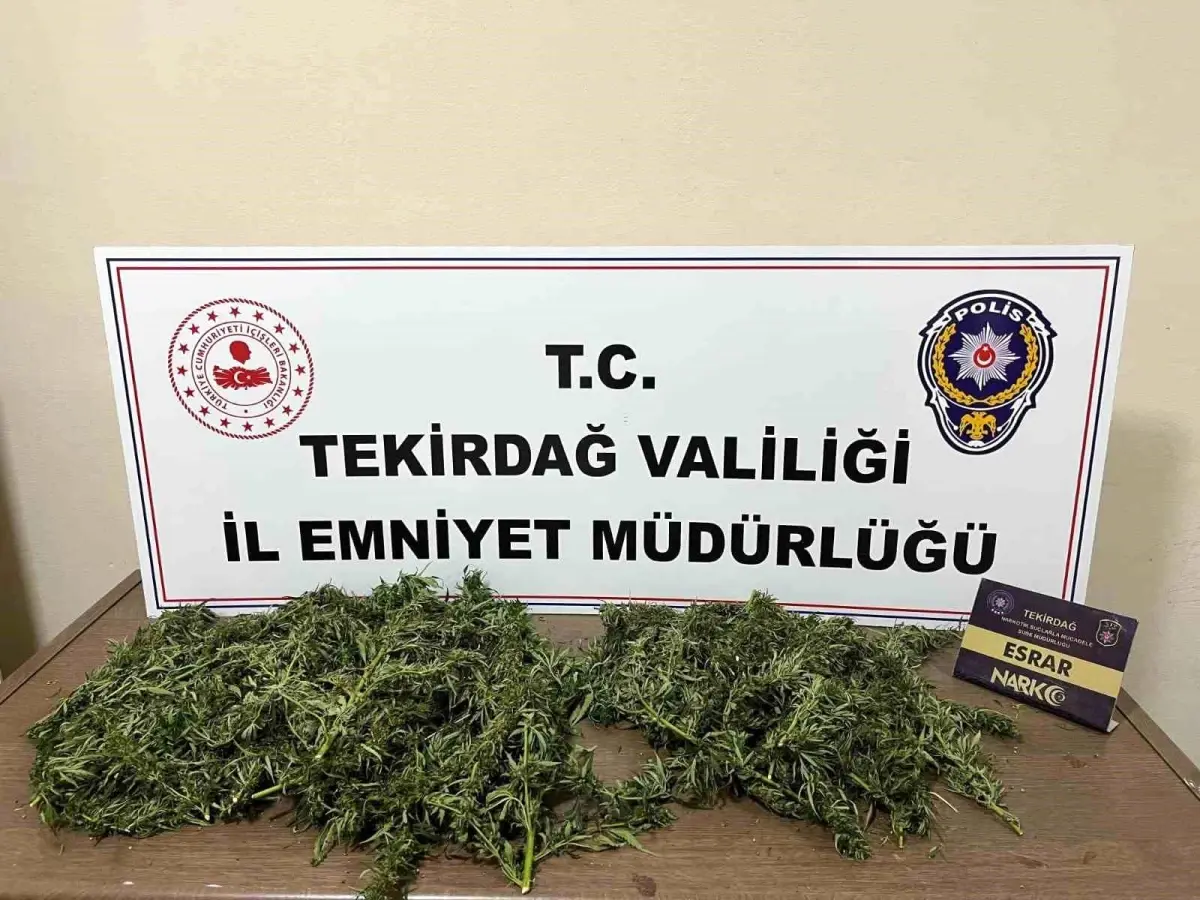 Çorlu\'da Uyuşturucu Operasyonu: 2 Tutuklama