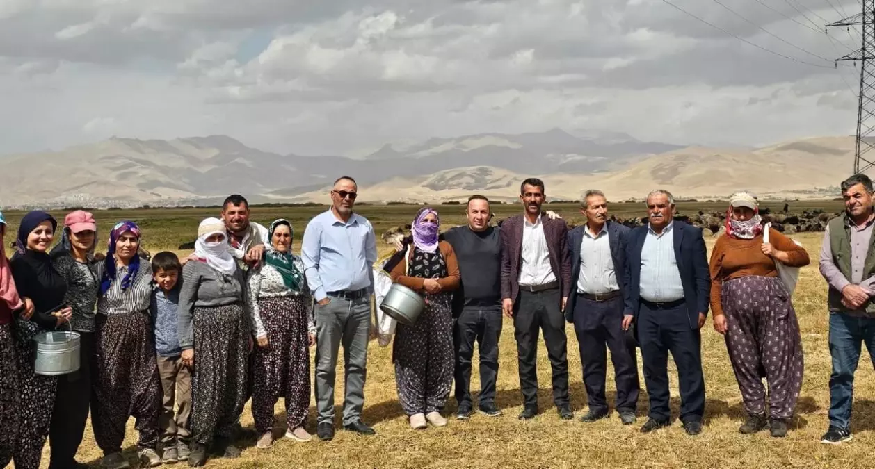 Yüksekova\'da Şap Hastalığı Kontrol Altına Alındı