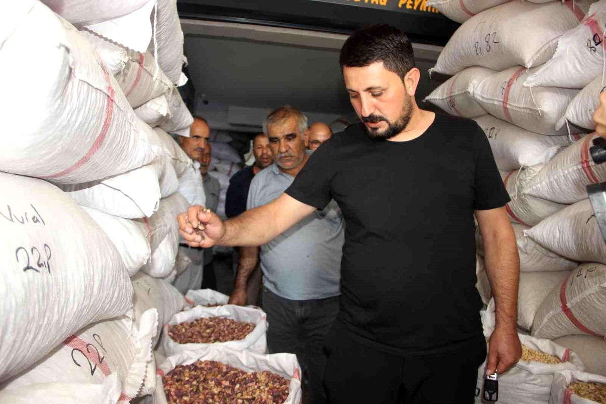 Şanlıurfa\'da Fıstık Fiyatları İki Katına Çıktı