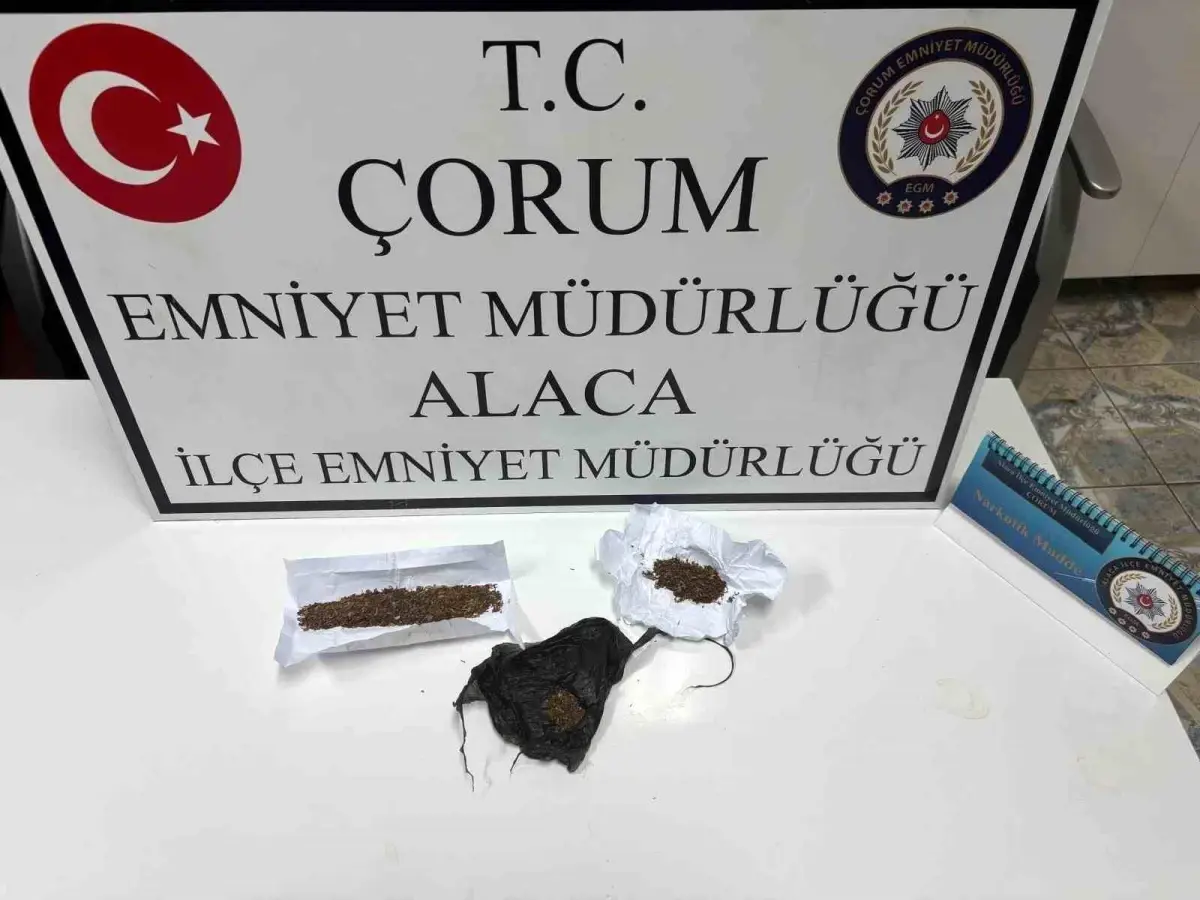 Alaca\'da Uyuşturucu Operasyonu