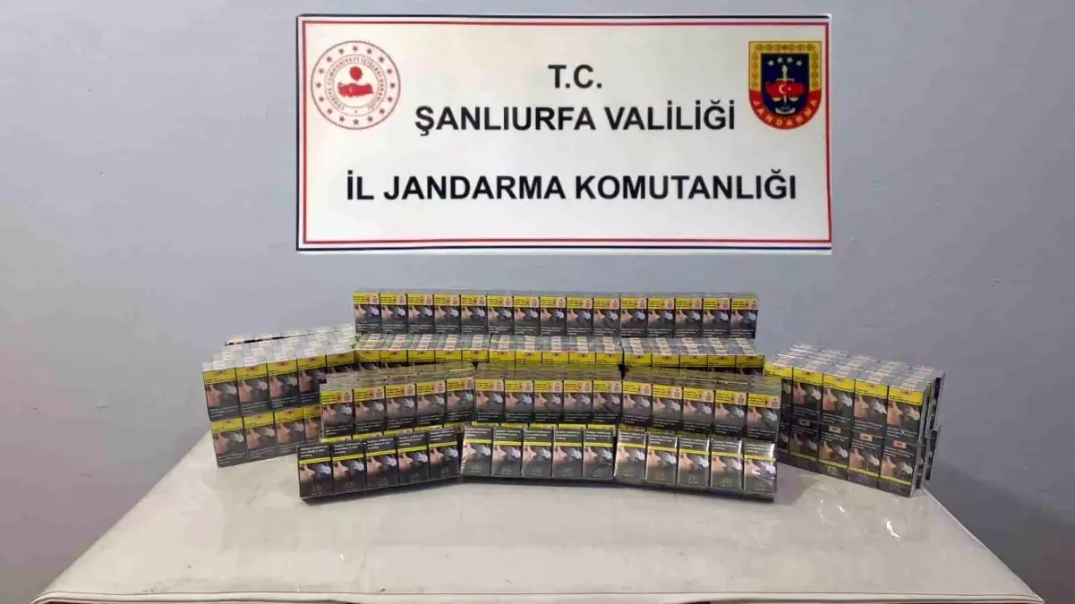 Viranşehir\'de 1030 Paket Kaçak Sigara Ele Geçirildi