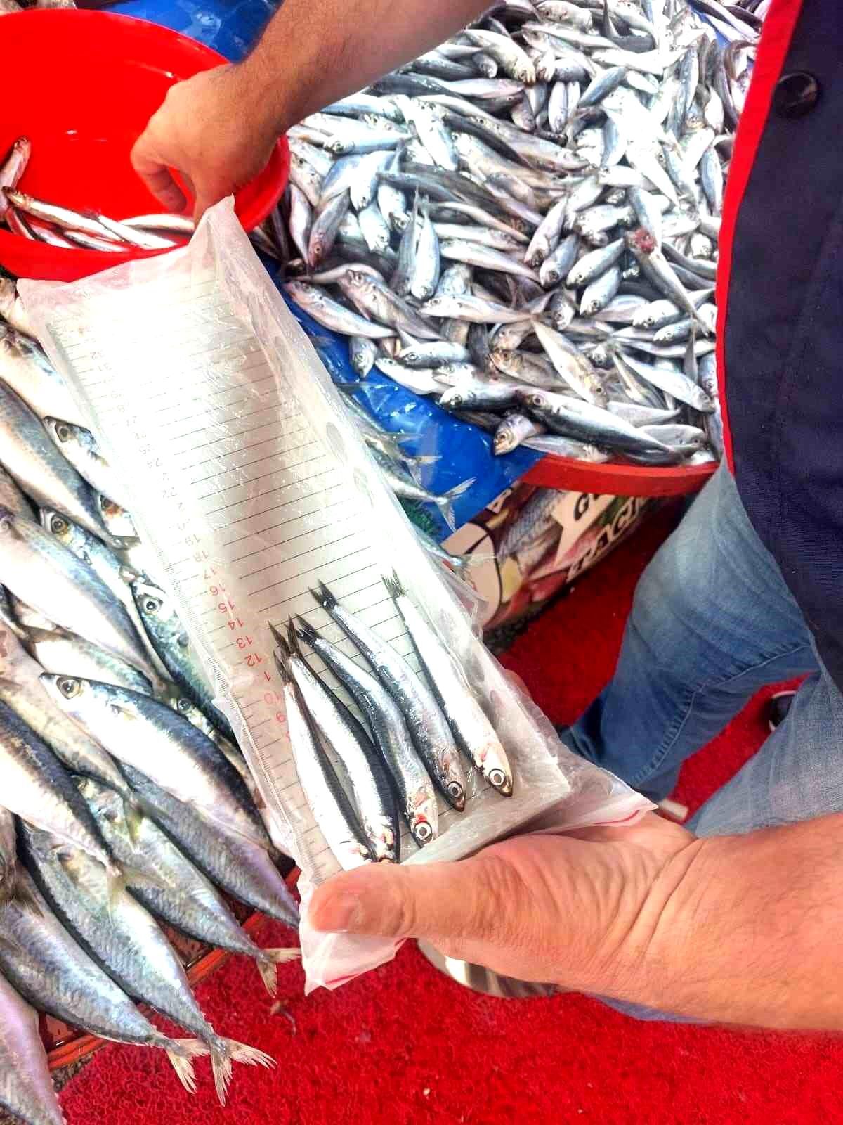 Afyonkarahisar\'da Balıkçı Denetimi