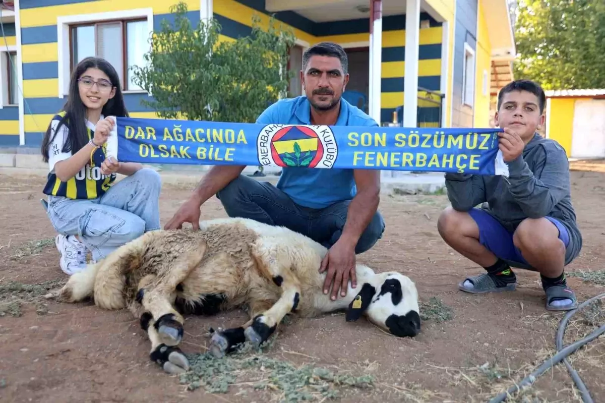 Fenerbahçeli Baba-Kızdan Şampiyonluk Adağı