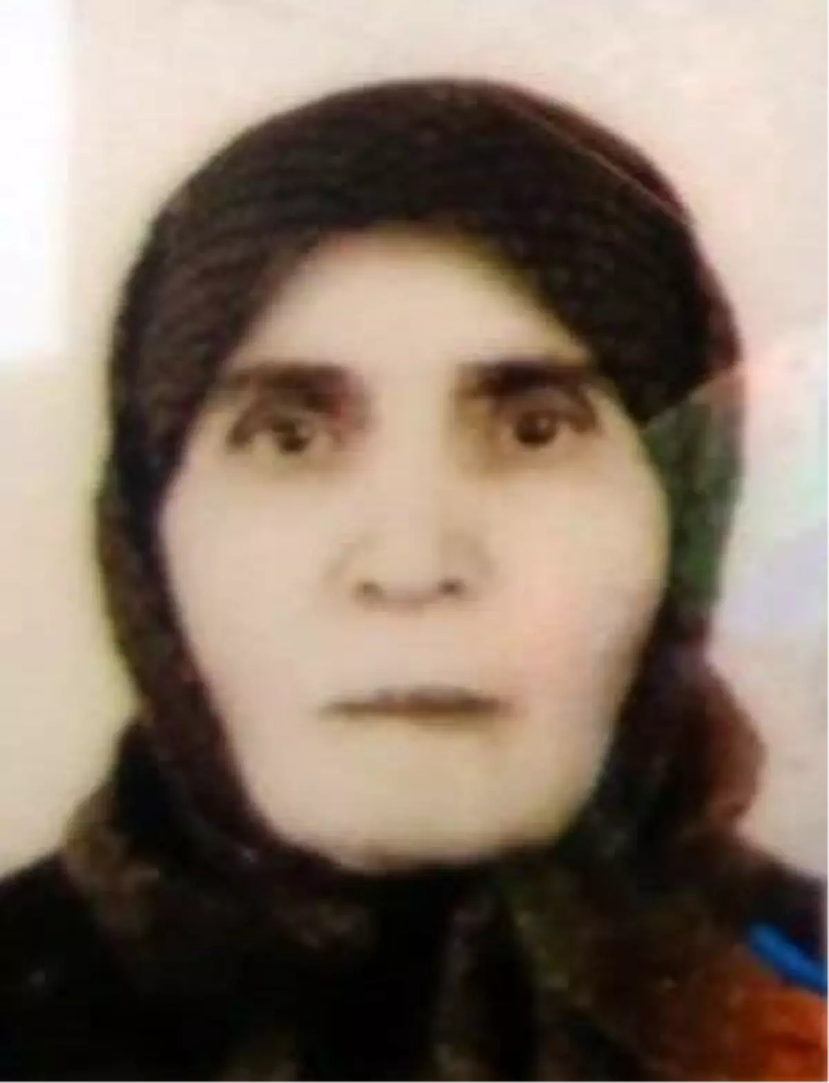81 Yaşındaki Kadın Evinde Ölü Bulundu