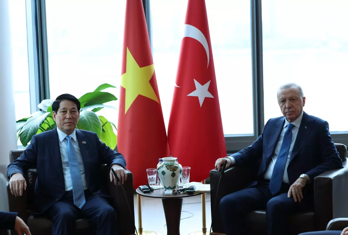 Cumhurbaşkanı Erdoğan, Vietnam Devlet Başkanı ile Görüştü