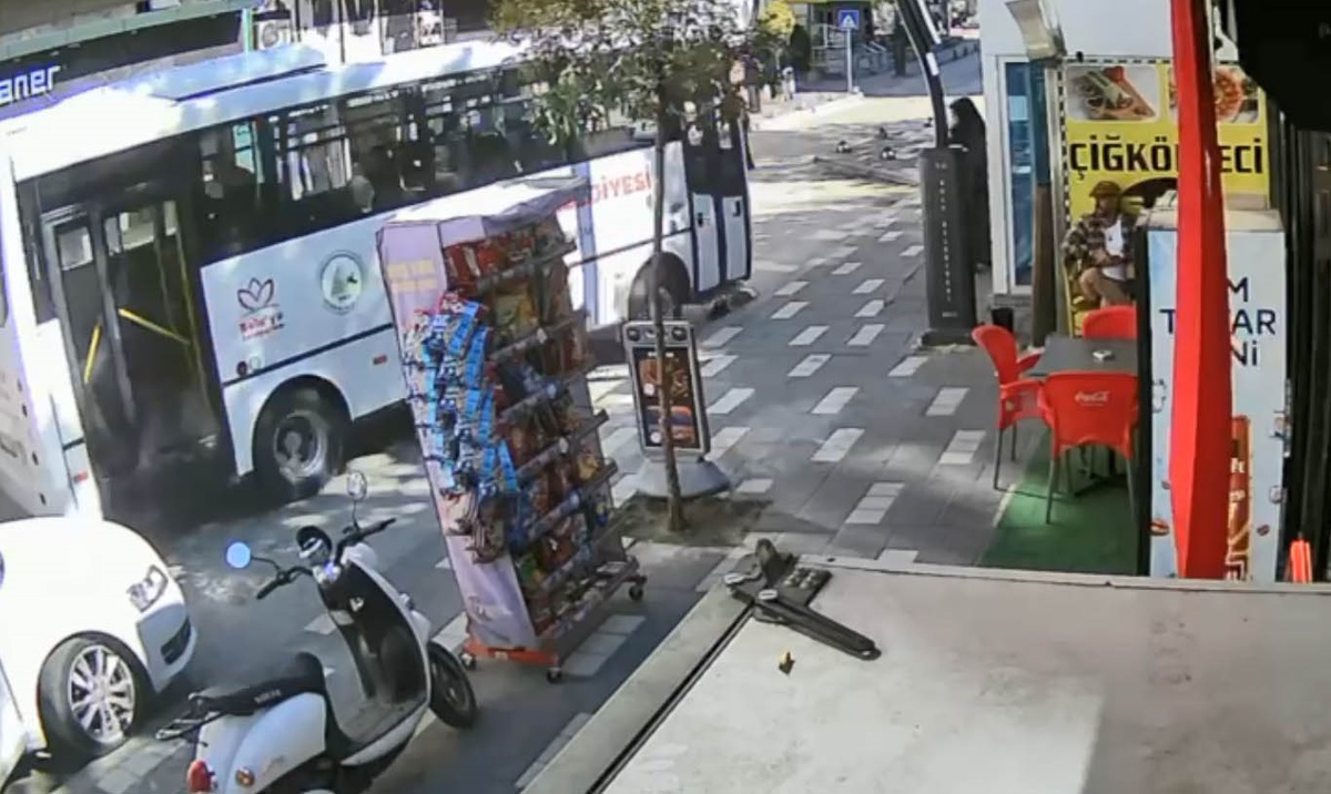 Bolu\'da Otobüs, Bico isimli Köpeği Ezdi