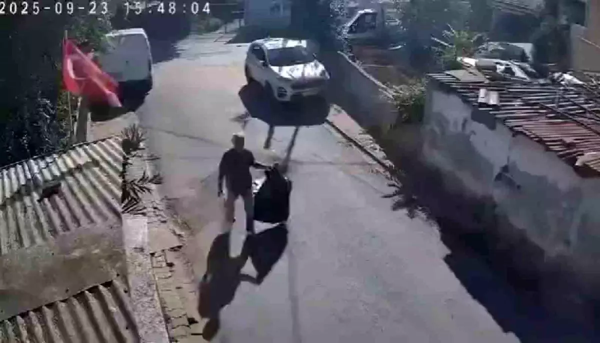 İnşaat Patlaması Kedileri Panikletti