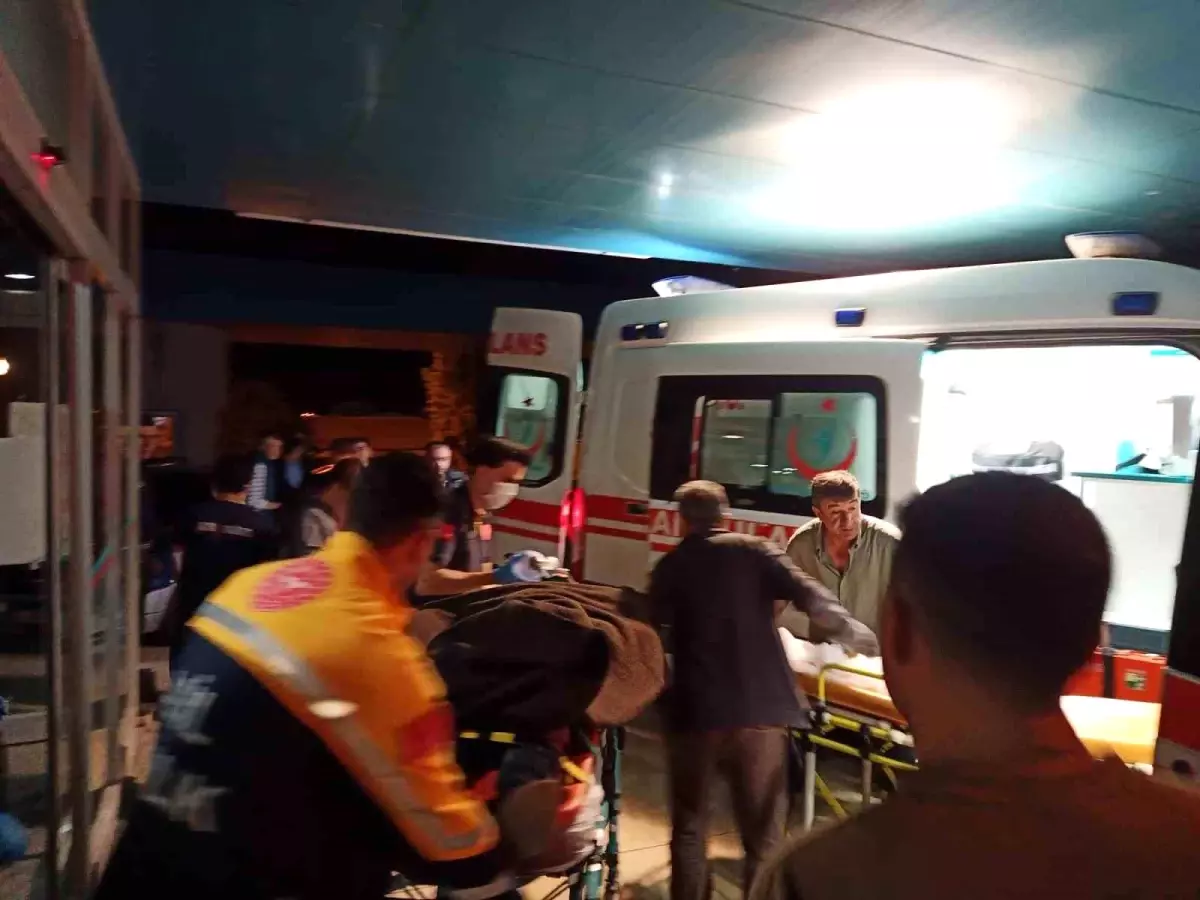 Koyunu kurtarmak isterken canından oluyordu