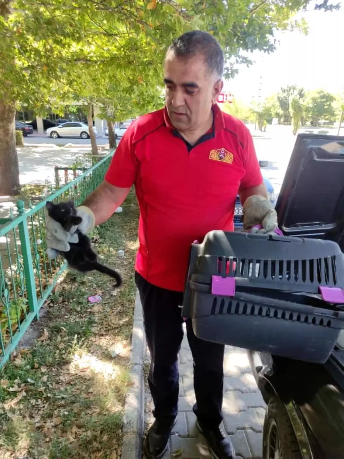 Erzincan\'da Yavru Kedi Kurtarıldı