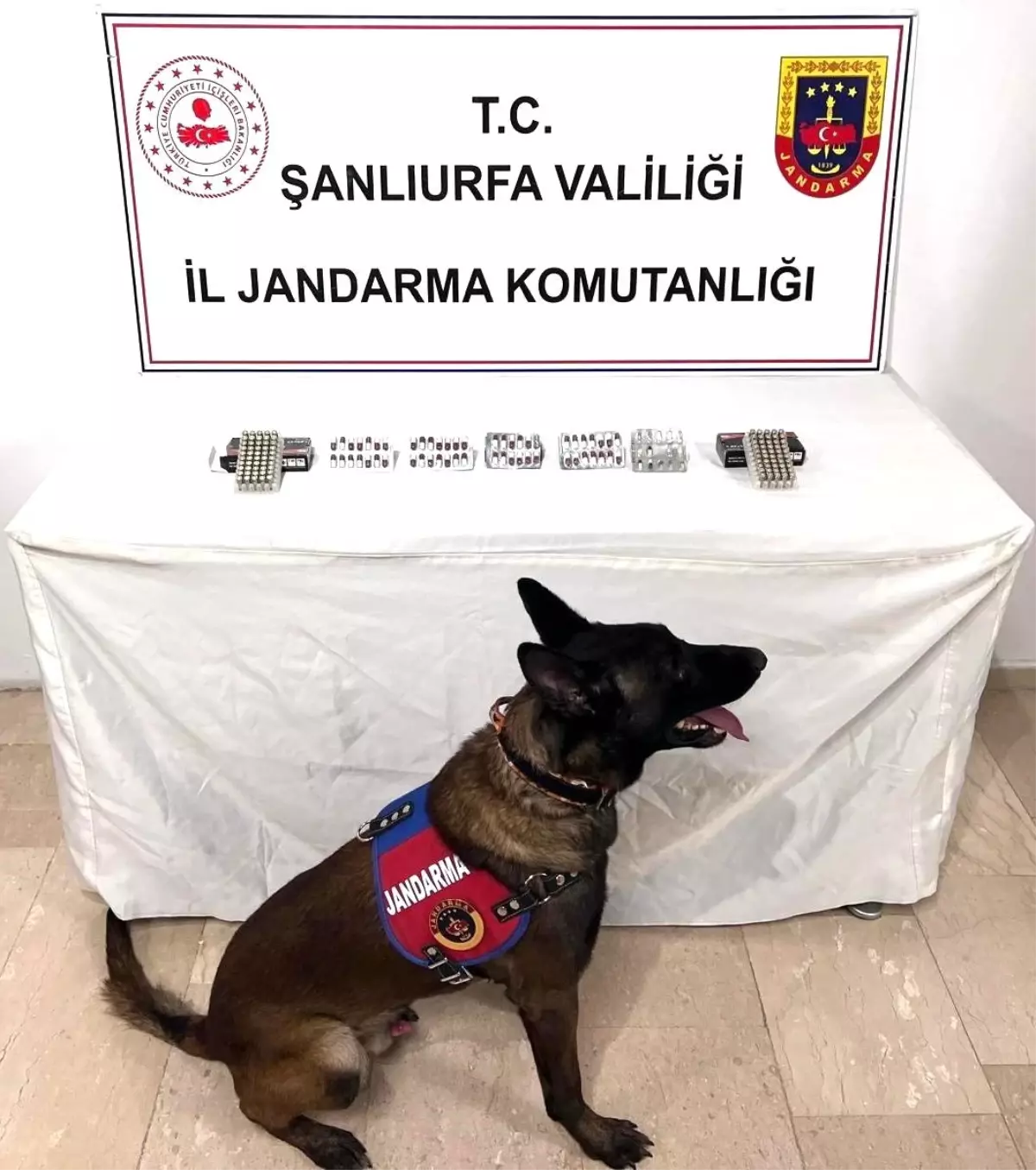 Eyyübiye\'de Uyuşturucu Operasyonu