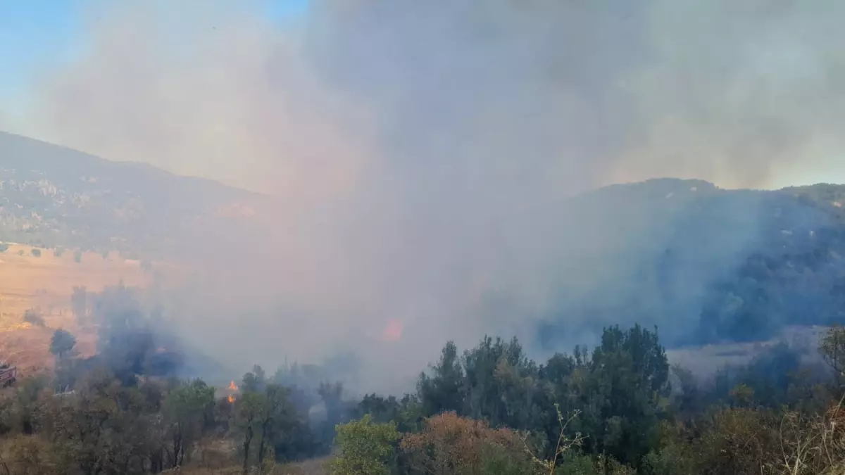 Ağlasun\'da Orman Yangını!