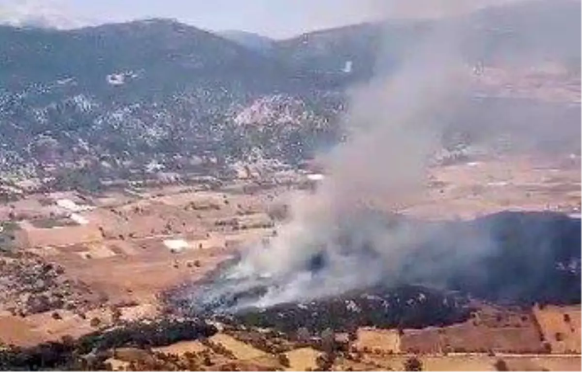 Burdur\'da Tarla Yangını Ormana Sıçradı