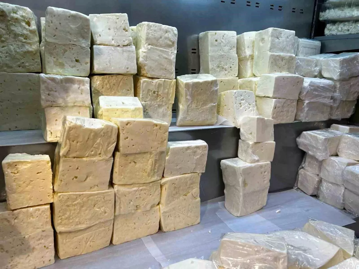 Denizli\'de Peynir Ürünlerinde Tağşiş Tespiti