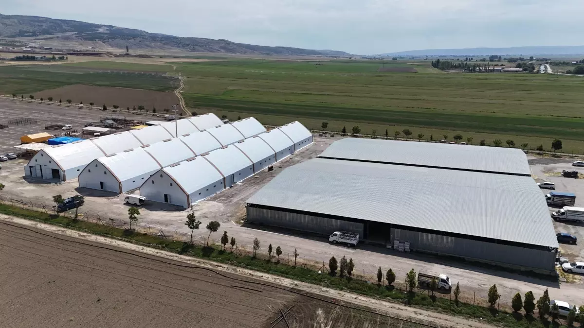 Eskişehir\'de Hayvan Pazarı Kapatıldı