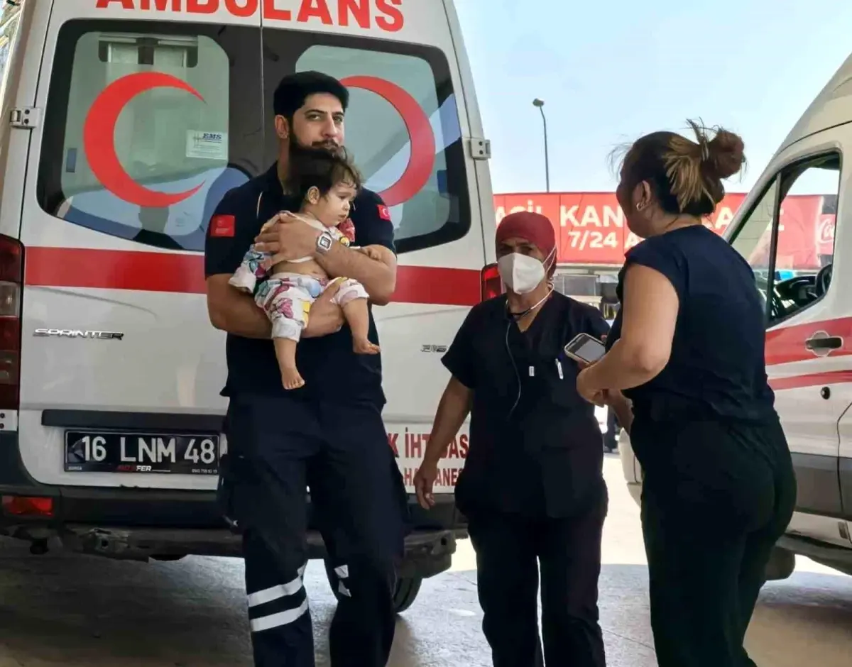 Yerde bulduğu maraş otunu yutan bebek hastanelik oldu