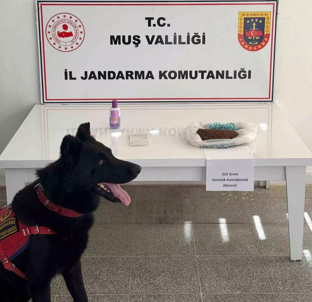 Muş\'ta Uyuşturucu Operasyonu: 2 Gözaltı