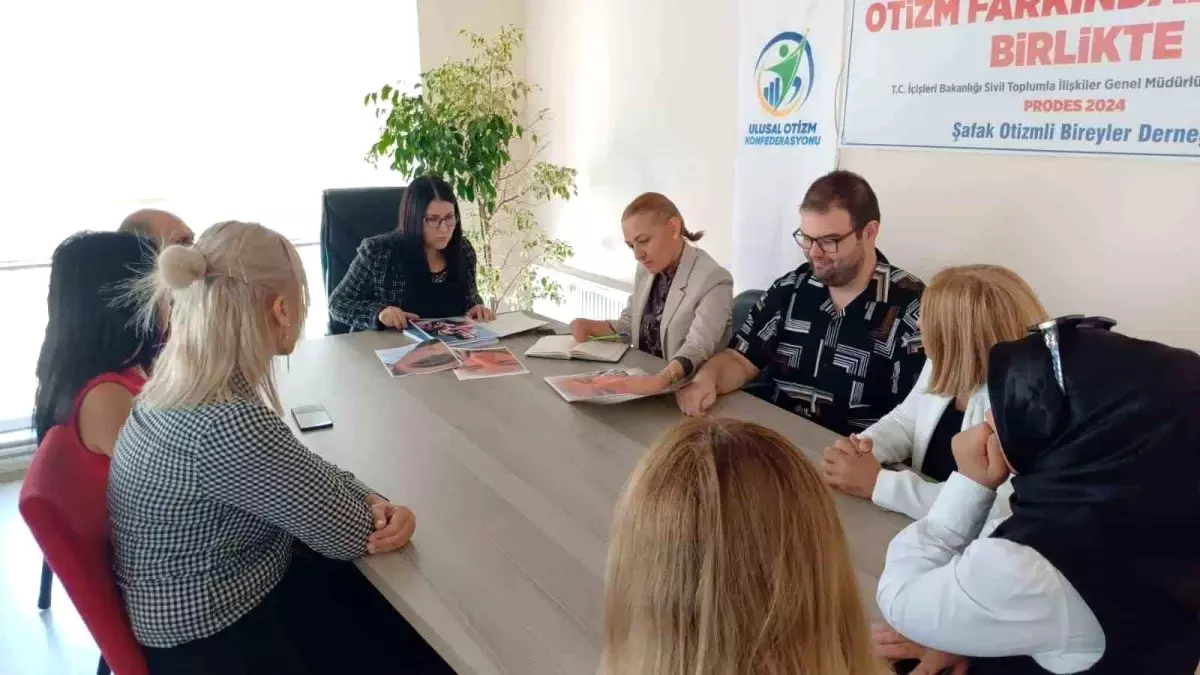 Otizm Raporu: Sorunlar ve Çözüm Önerileri