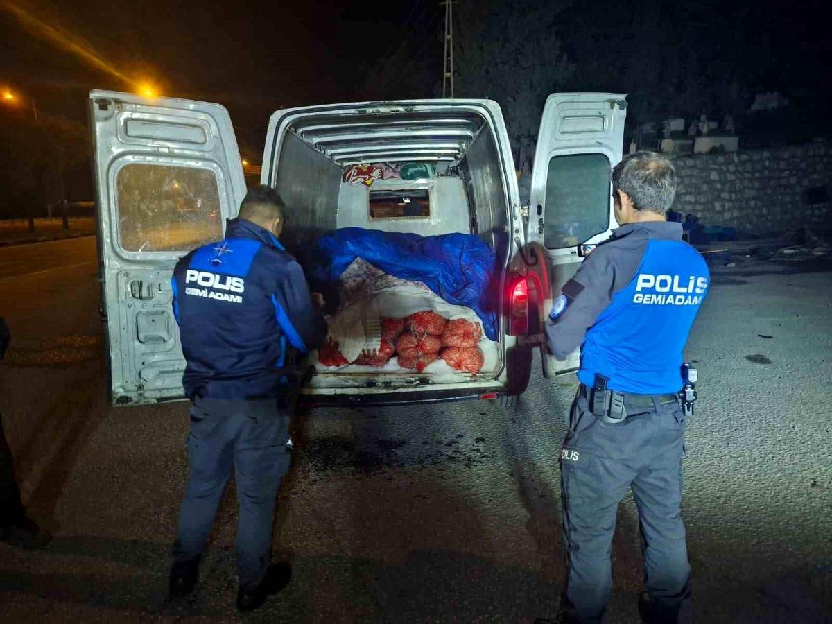 Samsun\'da 5 Ton Kaçak Midye Ele Geçirildi