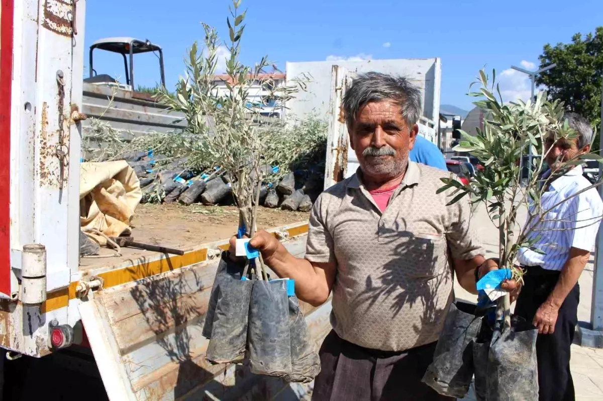 Antalya Büyükşehir Belediyesi\'nden Gazipaşa\'ya Zeytin Fidanı Desteği