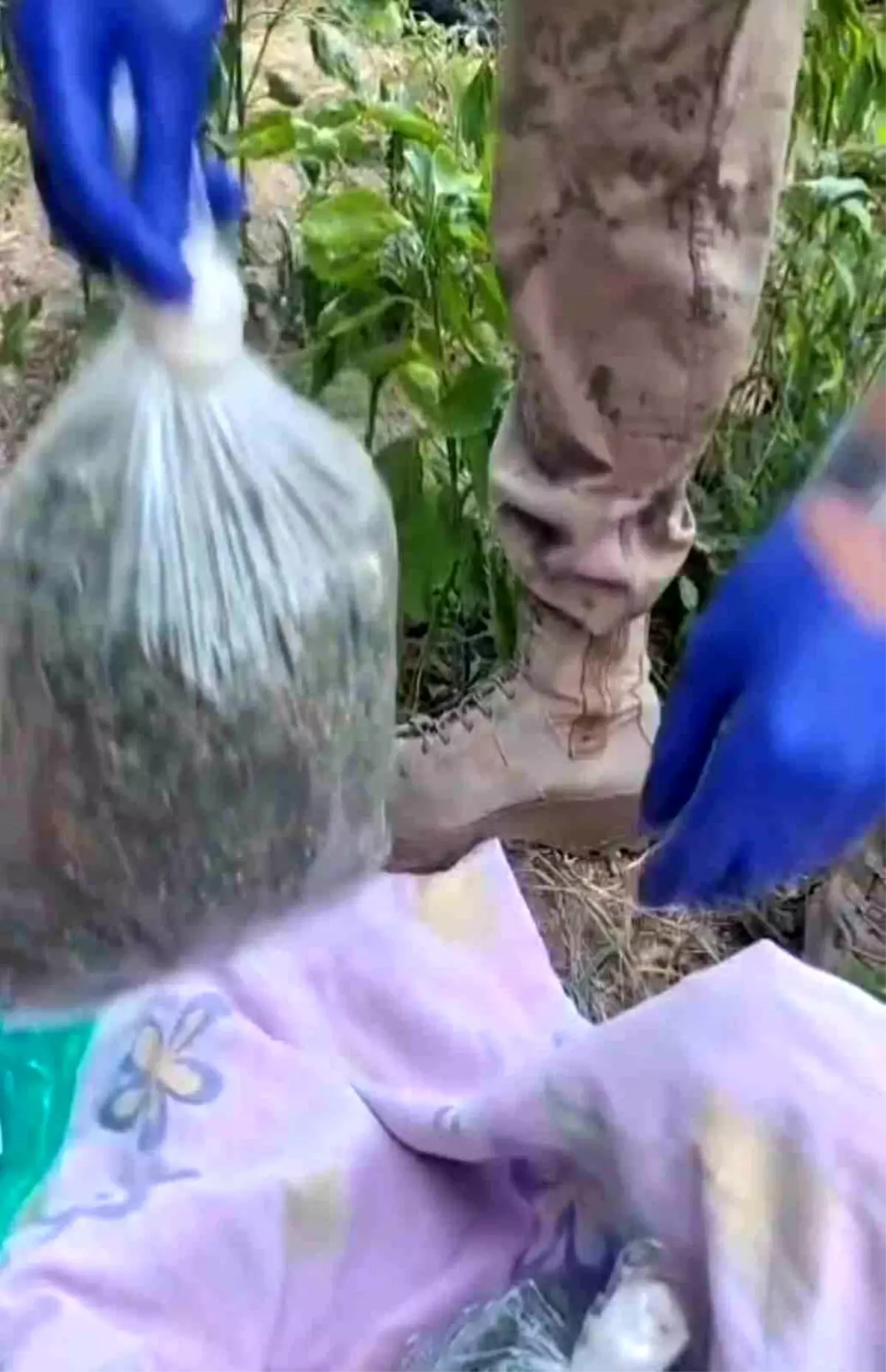 Batman\'da Uyuşturucu Operasyonu: 2.7 Kg Esrar Ele Geçirildi