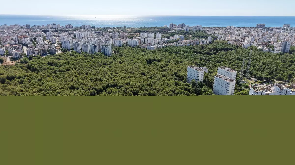 Arapsuyu Davası 55 Yıldır Devam Ediyor