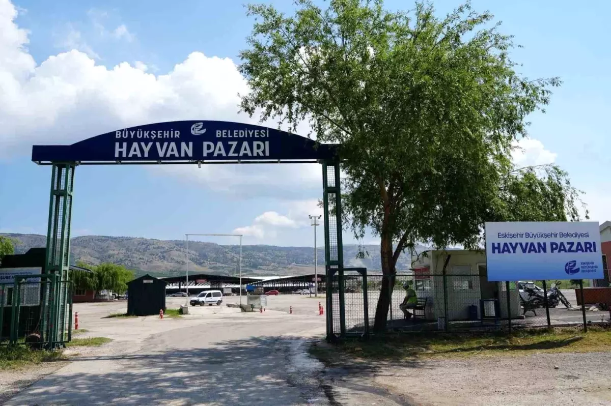 Eskişehir\'de Şap Hastalığı Nedeniyle Hayvan Pazarı Kapatıldı