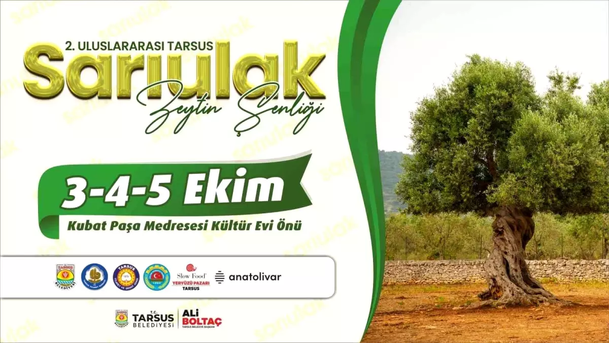 Tarsus\'ta Sarı Ulak Zeytin Şenliği Başlıyor
