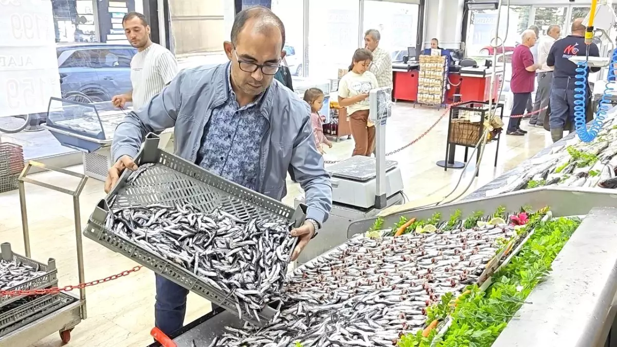 Balık Sezonu Kayseri\'de Açıldı