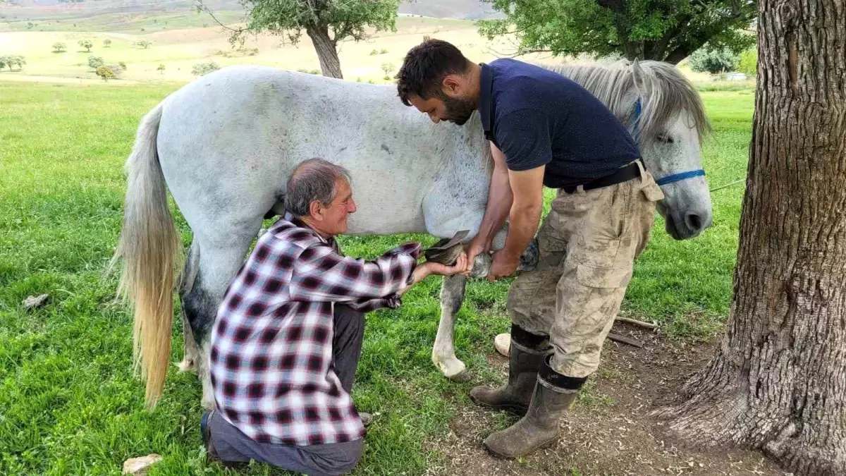 Son Nalbant Ustası Sinan Günay