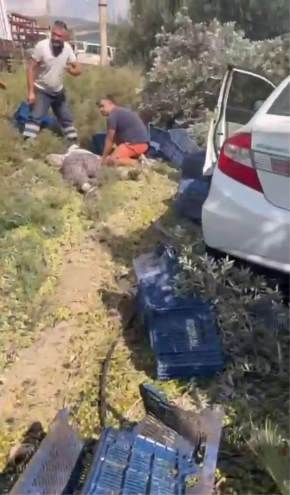 Silifke\'de Trafik Kazası: 1 Ölü, 3 Yaralı