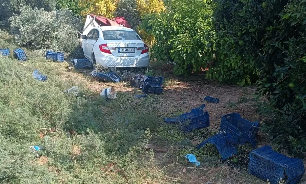 Otomobil, hasat yapan işçilere çarptı: 1 ölü, 3 yaralı