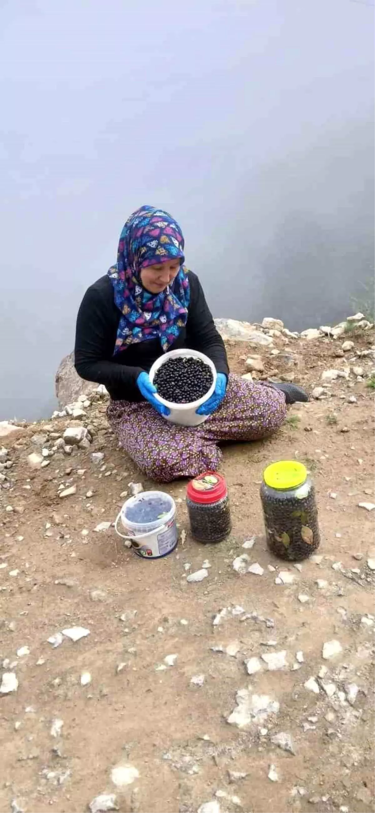 Şalpazarı Yaylalarında Sonbahar Renk Cümbüşü
