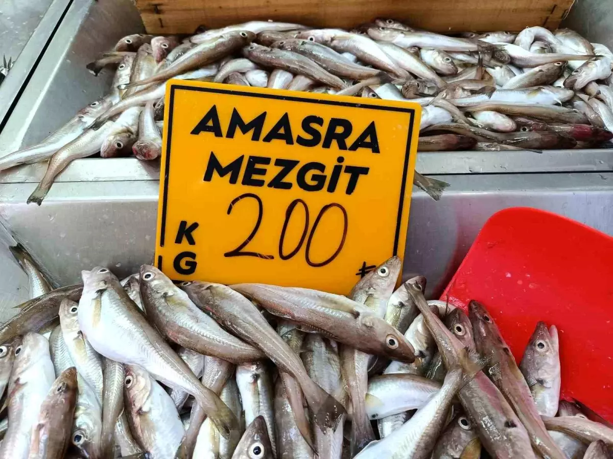 Bartın\'da Mezgit Revaçta