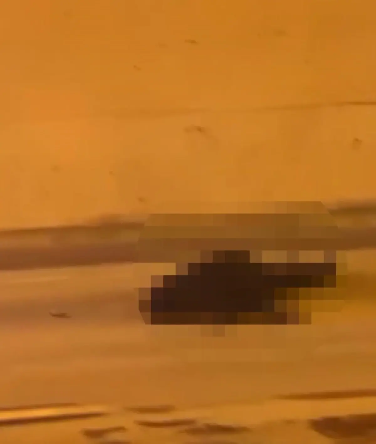 Akrabalarını önce silahla vurdu sonra yerde tekmeledi! Hepsi suç makinesi çıktı